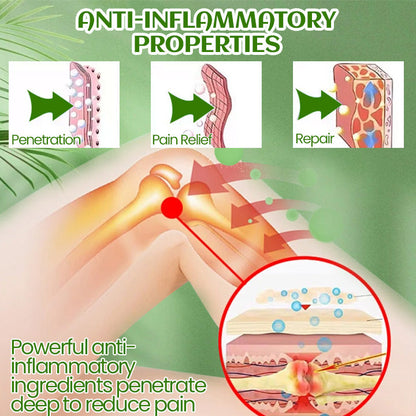 Biancat™ Mugwort Joint Pain Relief Cream